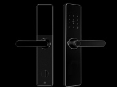 青松沃德-Wi-Fi 指紋鎖家用防盜門智能門鎖密碼鎖刷卡電子鎖 防磁干擾 防撬 L9-WT (不含鎖體，鎖體需另購(gòu)）